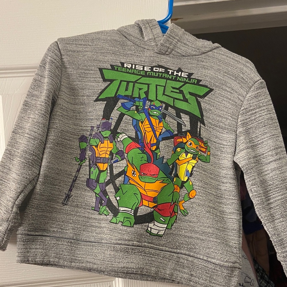 Nickelodeon Gray Hoodie with Teenage Mutant Ninja Turtles